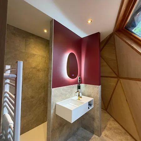 Orman Evi Dome Aura-insolite-sauna-bain-nordique-climatise